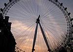 The Wheel (the London Eye)