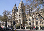 The Natural History Museum